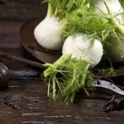 Fennel Bulb