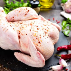Chicken