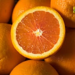 Fruit