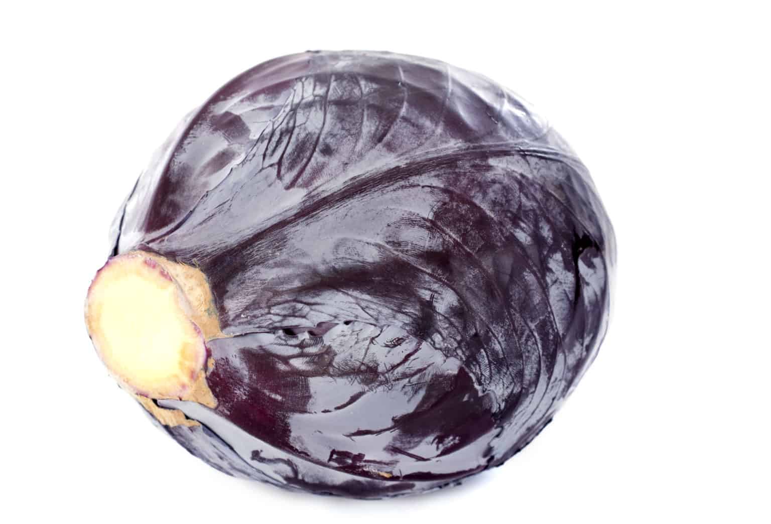 Red Cabbage