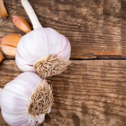 Garlic Bulb