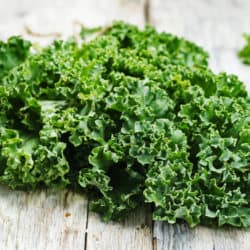 Kale