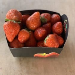 Fresh Strawberries