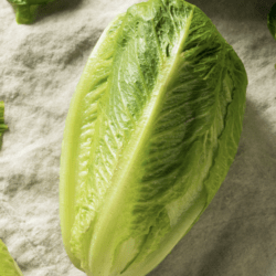Romaine Lettuce