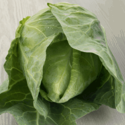 Sweetheart Cabbage