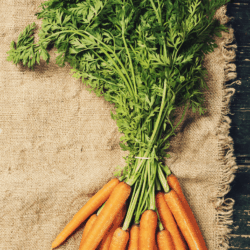 Carrots (tops on)