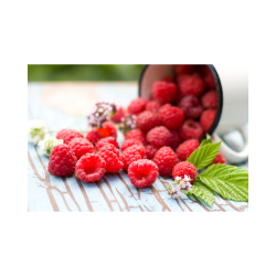 Raspberries