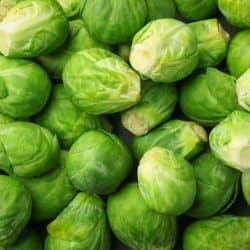 Brussel Sprouts