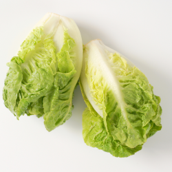 Little Gem Lettuce