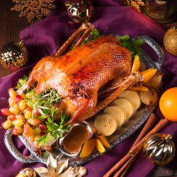 Christmas Goose